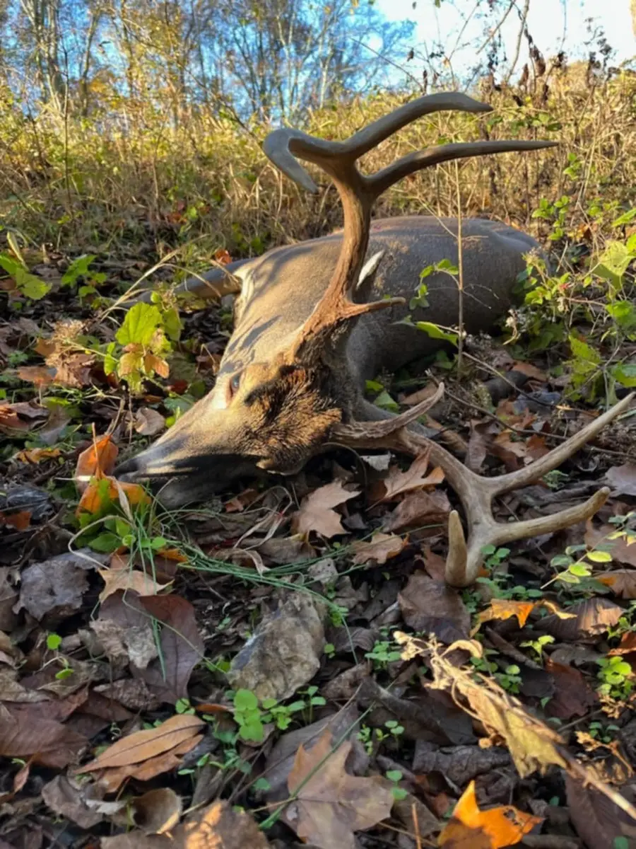 3264 Martin Hollow Rd, Culleoka, TN 38451 - Image #2