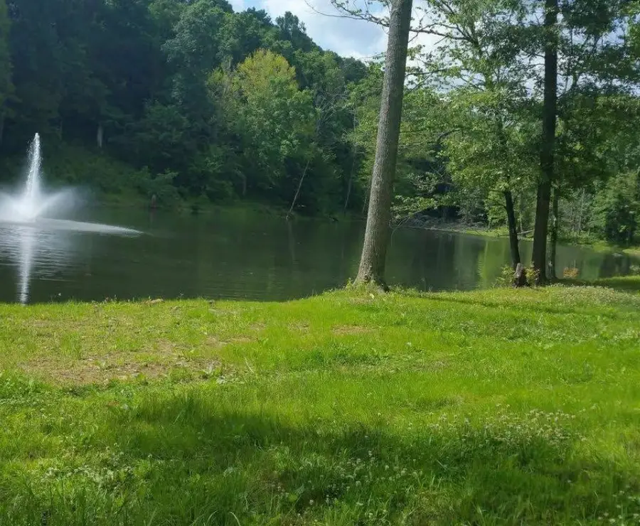 9 Yellow Violet Ct, Hurricane Mills, TN 37078 - Image #2