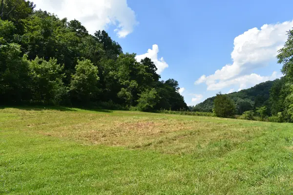 0 Nascar Ln, Pleasant Shade, TN 37145