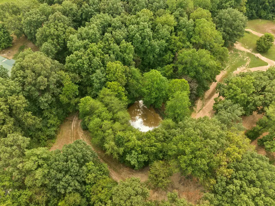 0 Dog Creek Rd, Primm Springs, TN 38476 - Image #2