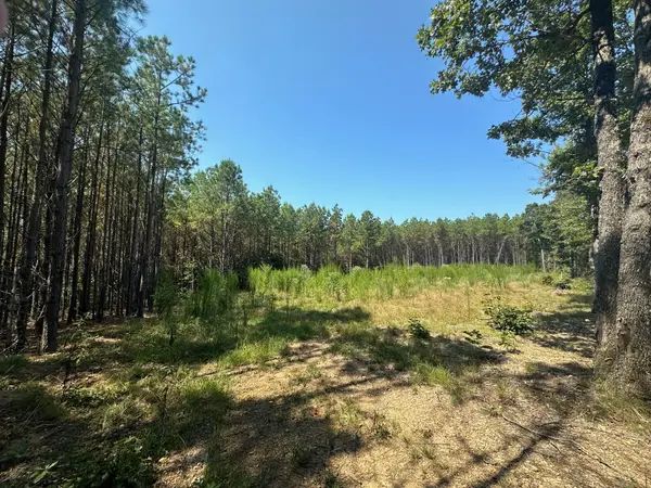 586 Seiber Ridge Rd, Hohenwald, TN 38462