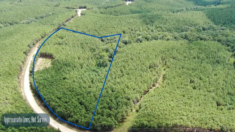 586 Seiber Ridge Rd, Hohenwald, TN 38462 - Image #2