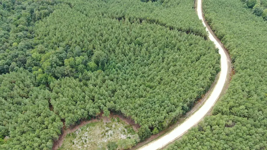 586 Seiber Ridge Rd, Hohenwald, TN 38462 - Image #3