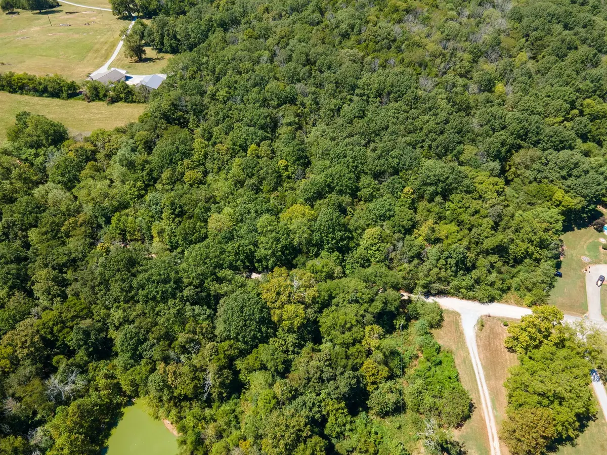 0 Shapiro Trail, Columbia, TN 38401 - #1