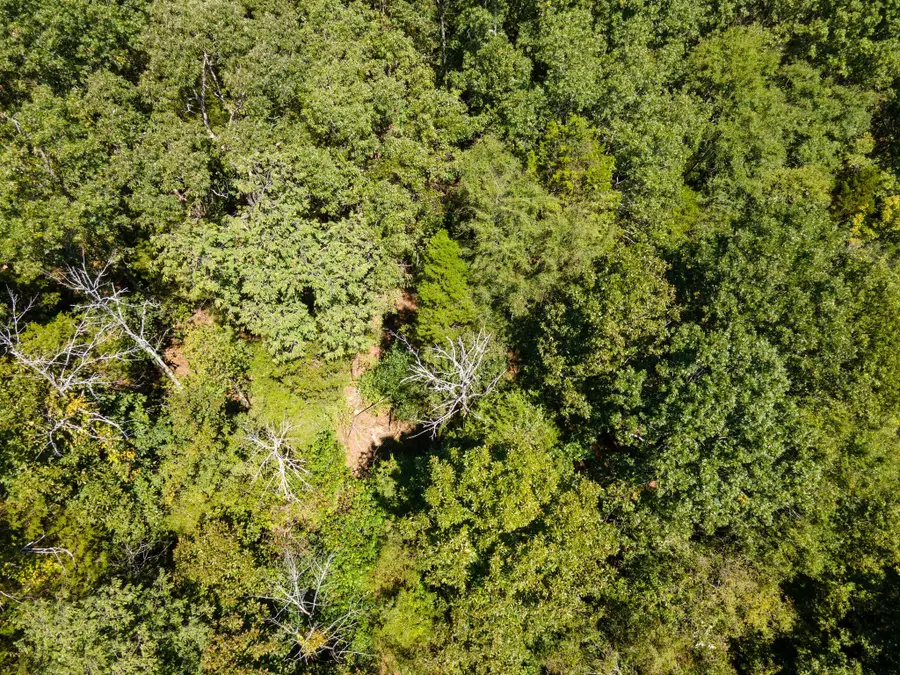 0 Shapiro Trail, Columbia, TN 38401 - #2