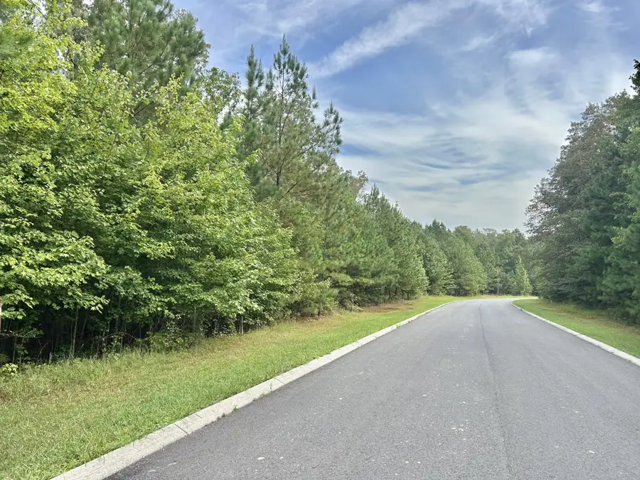 0 Seminole Ln, Manchester, TN 37355 - Image #3