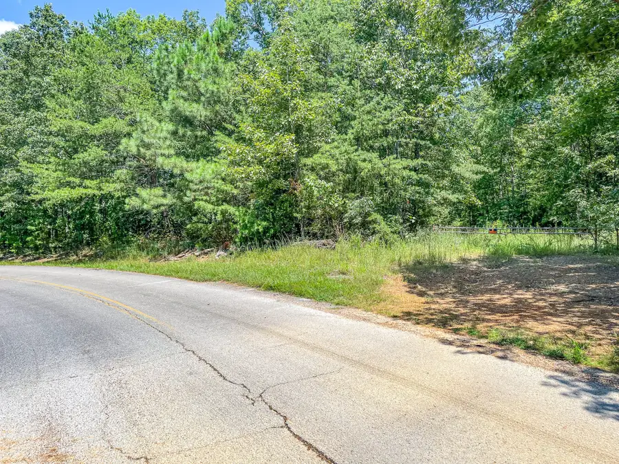 0 Ridgetop Rd, Hohenwald, TN 38462 - Image #2