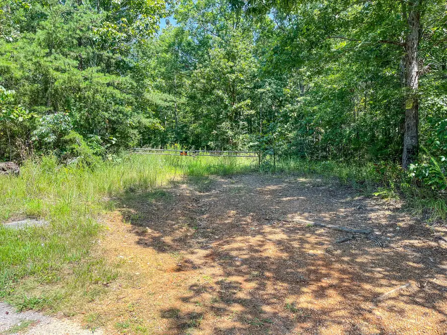 0 Ridgetop Rd, Hohenwald, TN 38462 - Image #3