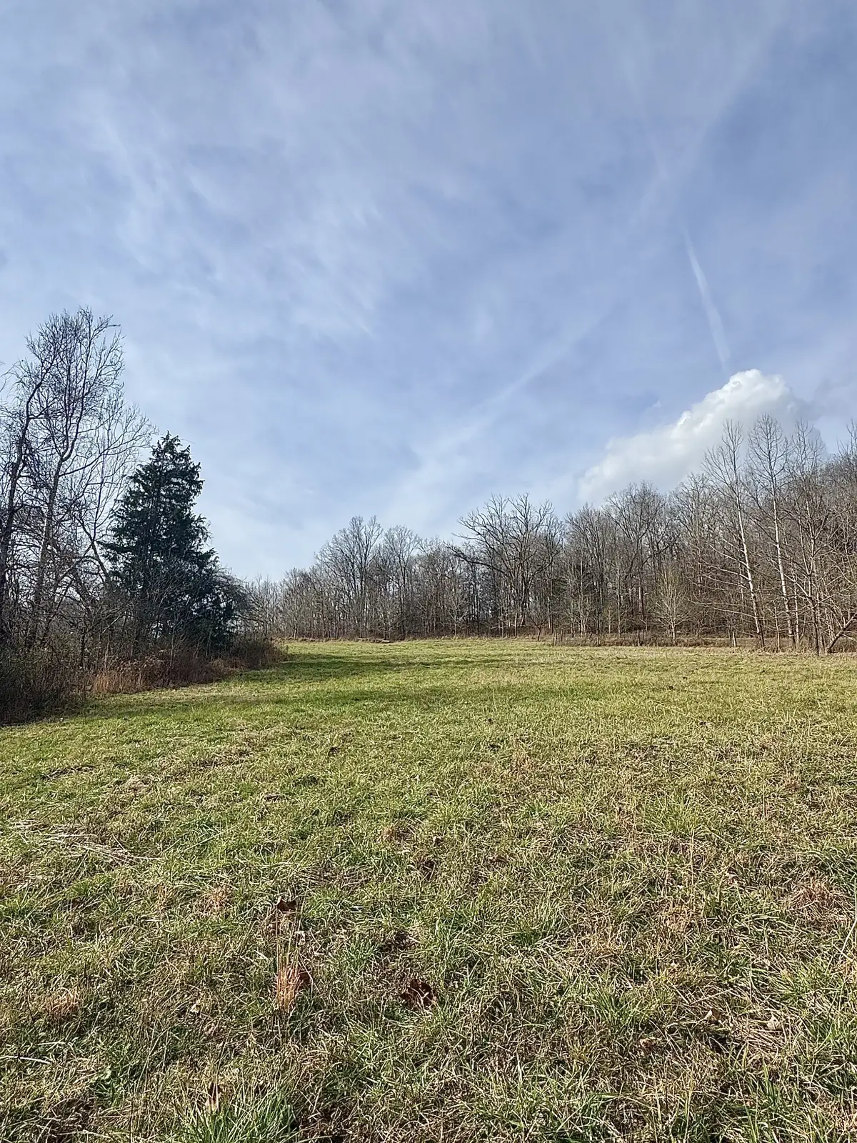 0 Batson Road, Cumberland Furnace, TN 37051 - Image #1