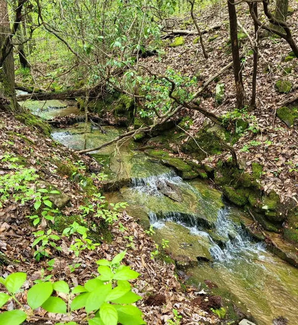 9004 Hondo Loop, Crossville, TN 38572