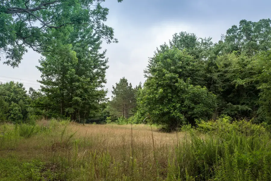 115 Baudy James Road, Cedar Grove, TN 38321 - Image #2