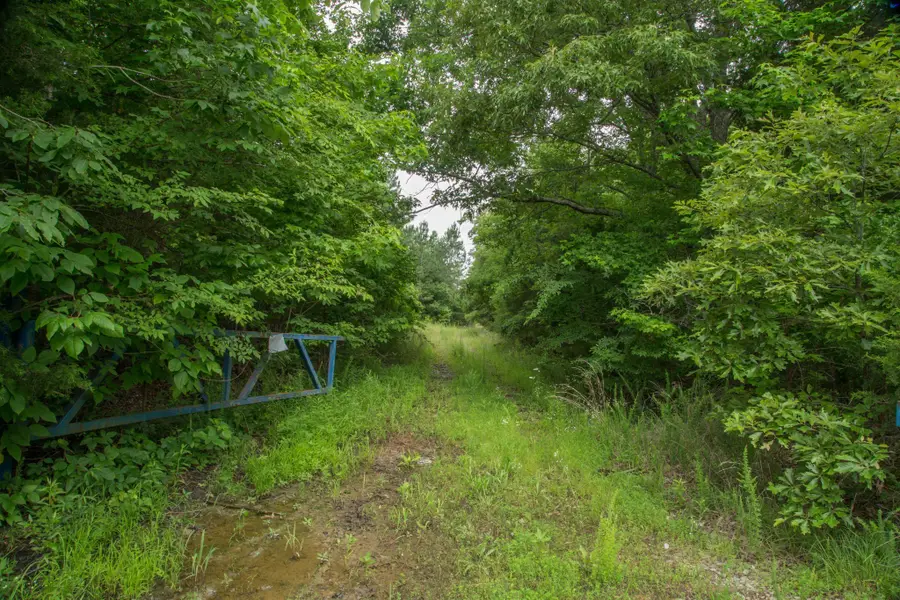 115 Baudy James Road, Cedar Grove, TN 38321 - Image #3