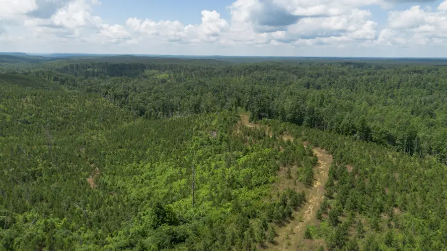 0 Low Gap Road, Sugar Tree, TN 38380 - Image #2