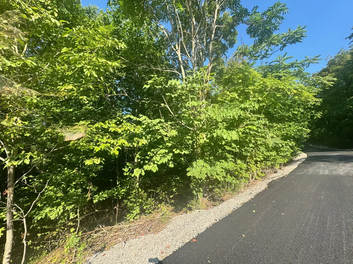 617 N North Pointe Tr, Allons, TN 38541 - Image #1