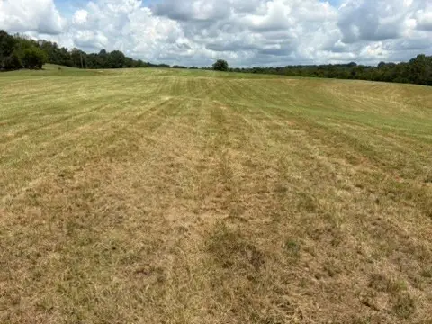 1505 Lower Helton Rd, Alexandria, TN 37012 - Image #2