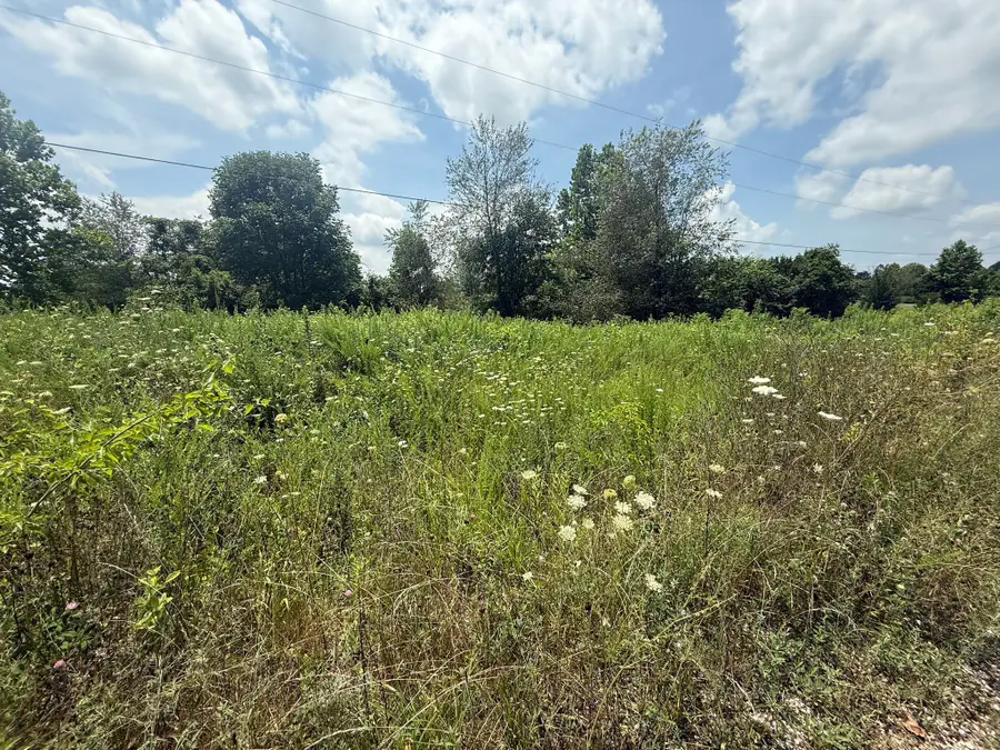 375 Langley Dr, Big Clifty, KY 42712 - Image #2