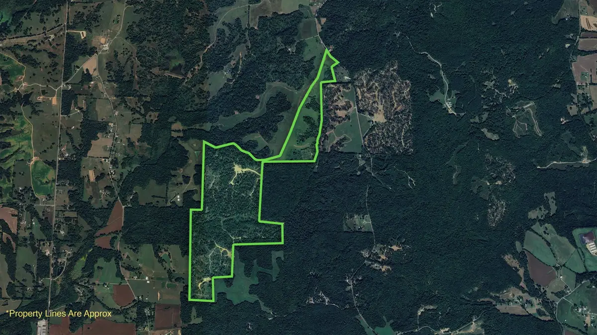 0 Old Paris Murray Rd, Puryear, TN 38251 - Image #1