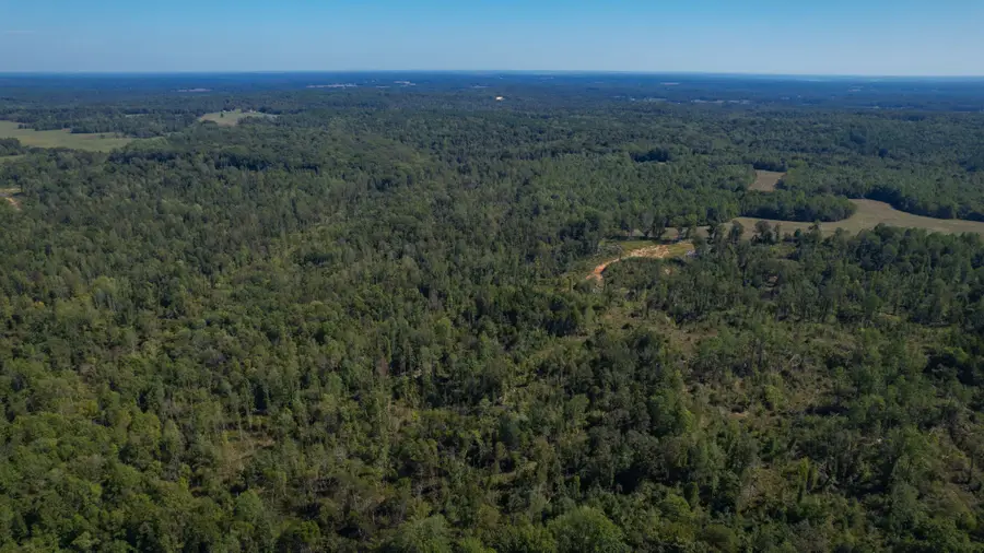 0 Old Paris Murray Rd, Puryear, TN 38251 - Image #3