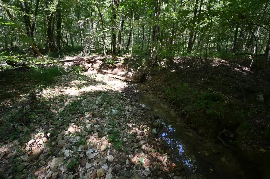 0 Flippo Branch Rd, Clifton, TN 38425 - Image #2