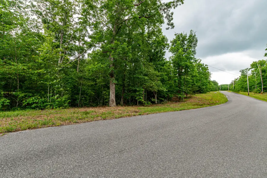 261 Gray Rock View, Pikeville, TN 37367 - Image #3