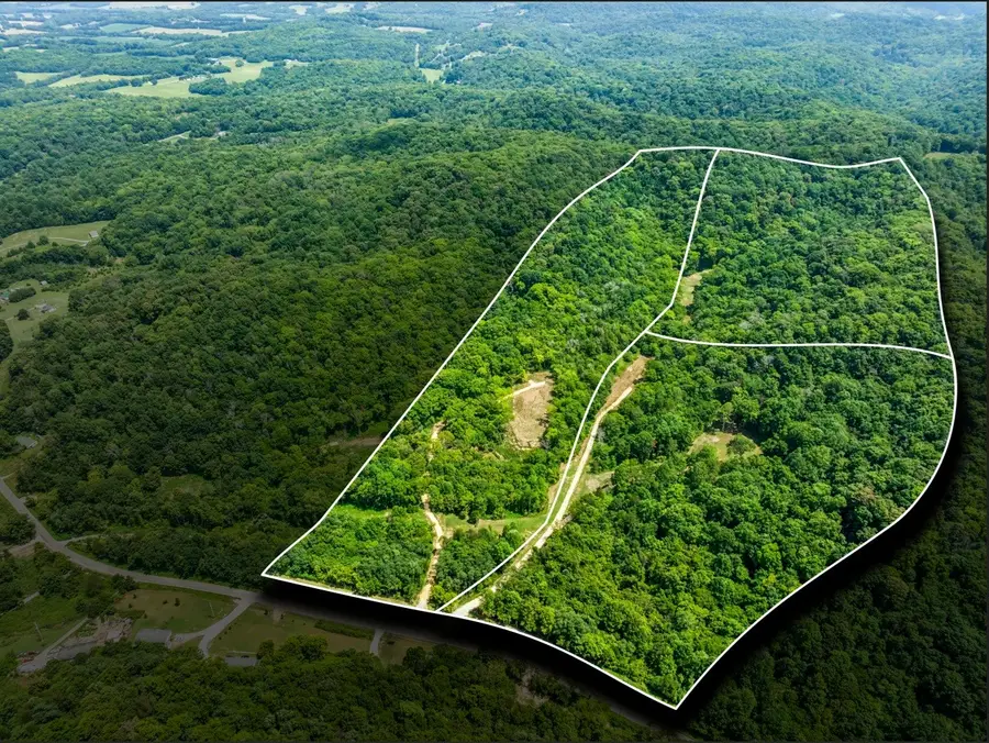 0 Preacher Holt Rd, Mount Pleasant, TN 38474 - #2