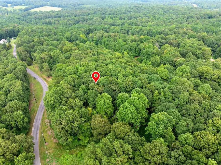 30 Stan Ln, Cedar Grove, TN 38321 - Image #3