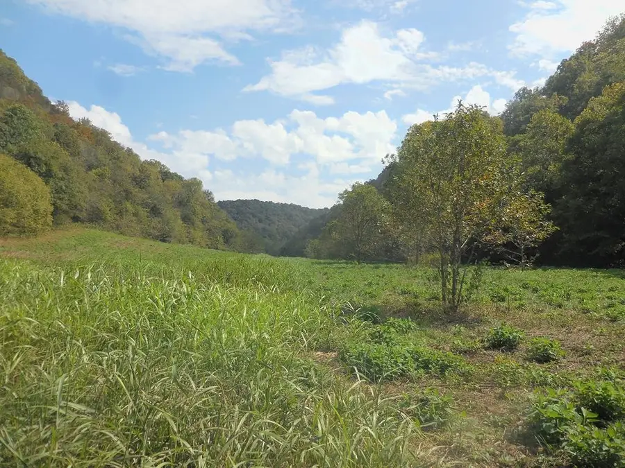 5154 Dry Mill Creek, Hilham, TN 38568 - Image #3