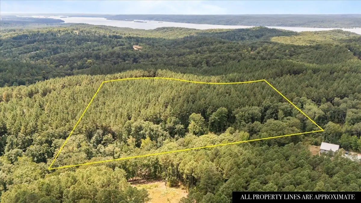 0 Pinegrove Dr, Waverly, TN 37185 - Image #1