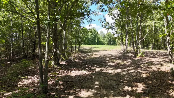 113 Chestnut Dr, Linden, TN 37096