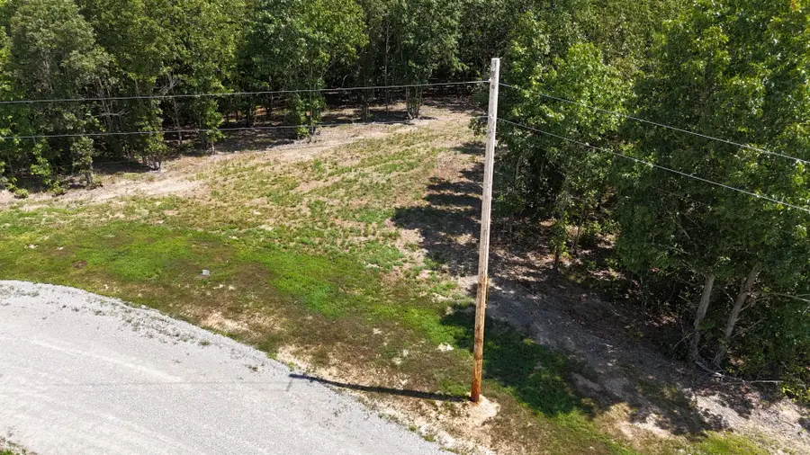 113 Chestnut Dr, Linden, TN 37096 - Image #2