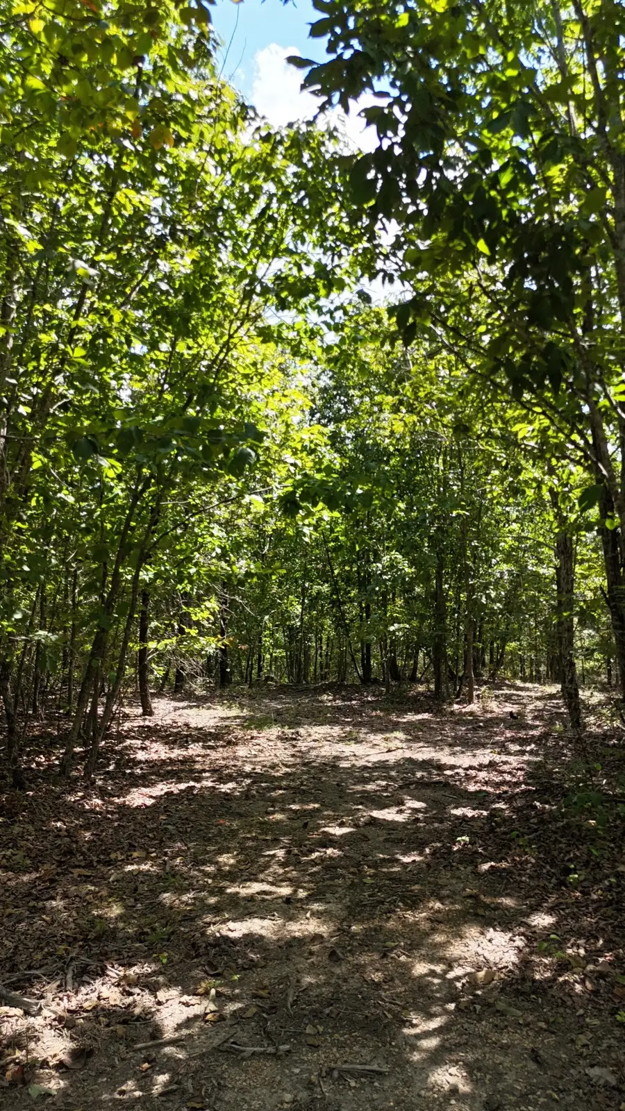 113 Chestnut Dr, Linden, TN 37096 - Image #3