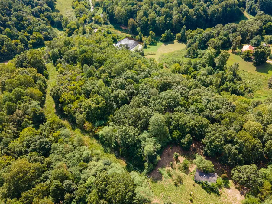 2311 Blue Branch Rd, Lynnville, TN 38472 - Image #2