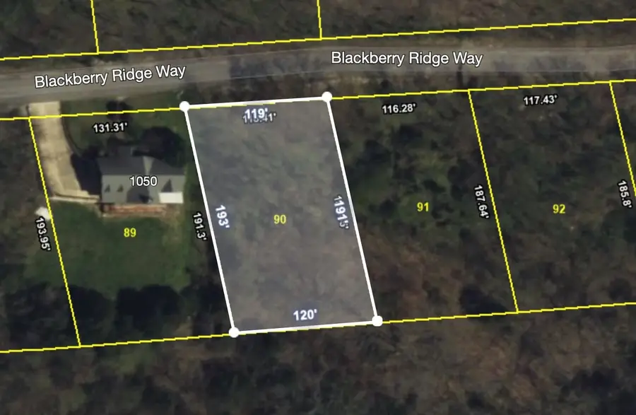 90 Blackberry Ridge Way, Smithville, TN 37166 - Image #3