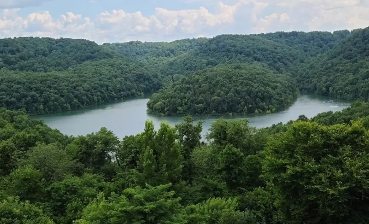 56 Nadia Lane, Smithville, TN 37166 - Image #1