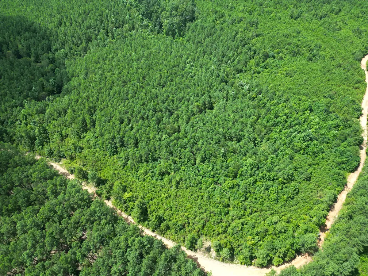 0 Liberty Ridge Rd, Hohenwald, TN 38462 - Image #1