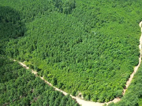 0 Liberty Ridge Rd, Hohenwald, TN 38462