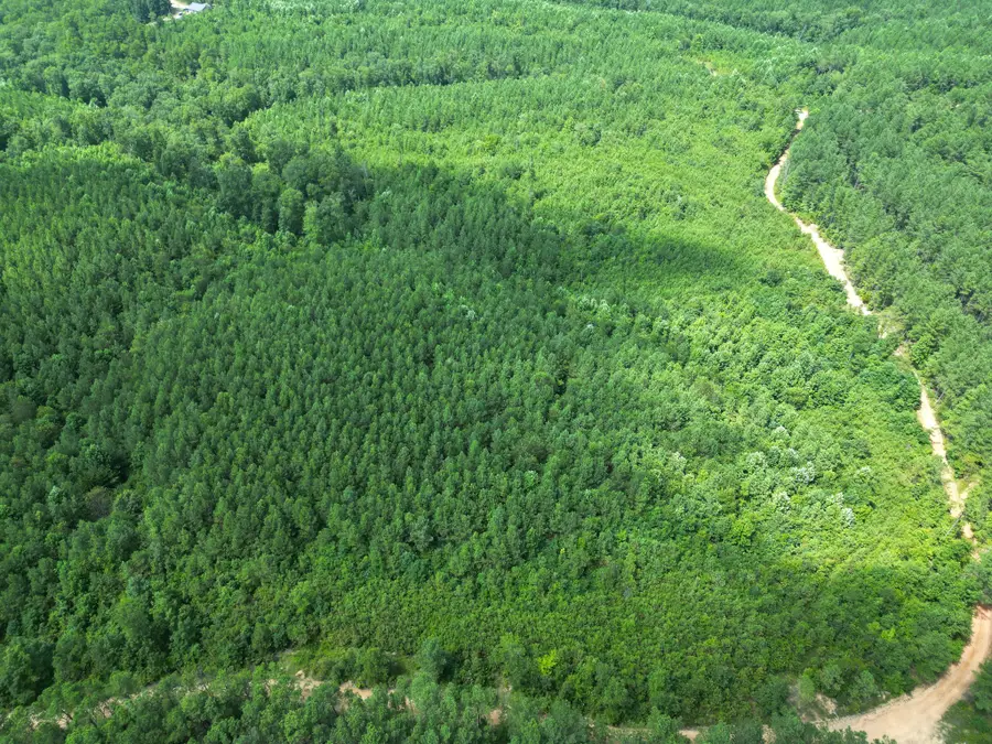 0 Liberty Ridge Rd, Hohenwald, TN 38462 - Image #2