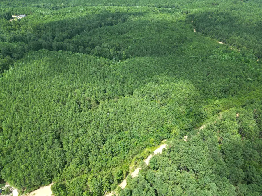 0 Liberty Ridge Rd, Hohenwald, TN 38462 - Image #3