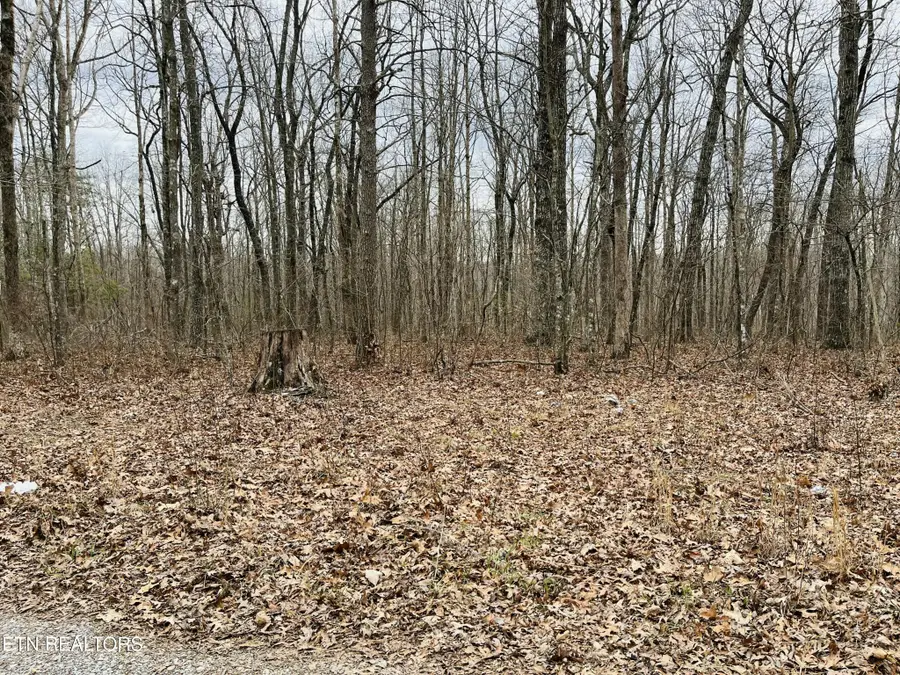 59 Morgan Circle, Crossville, TN 38572 - #3