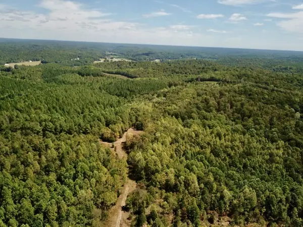 0 Richland Ridge Rd, Waverly, TN 37185 - #3