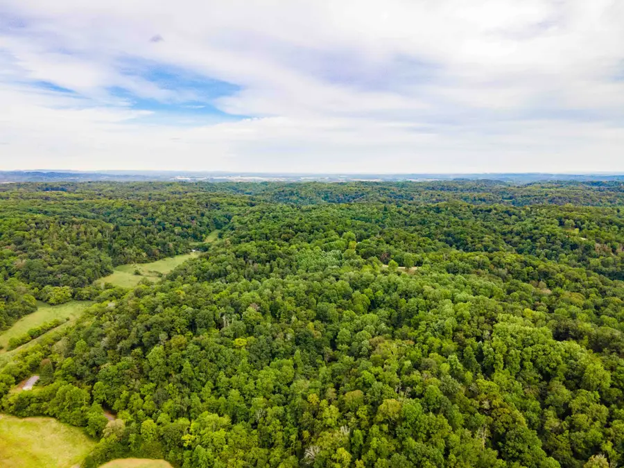 3045 Robert Skelley Rd, Columbia, TN 38401 - #2