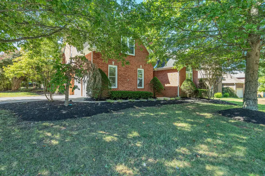 316 Black Bear Trl, Murfreesboro, TN 37127 - Image #3