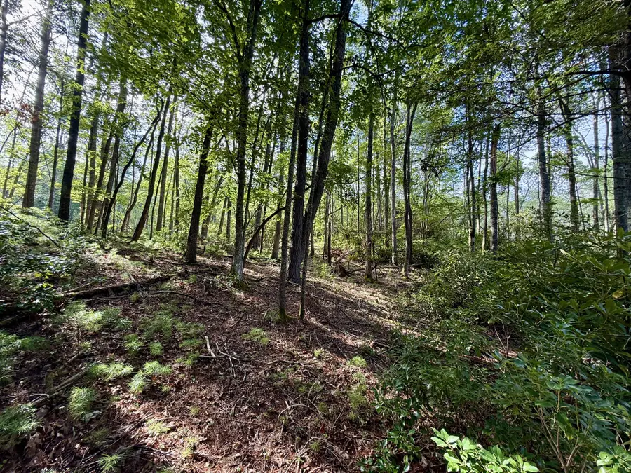 0 Bankers Bend, Mountain City, TN 37683 - Image #2