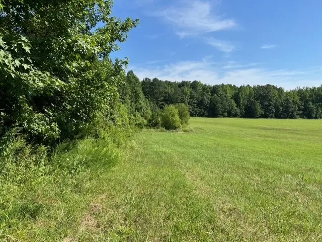 0 Ephesus Church Rd, Hollow Rock, TN 38342 - Image #2