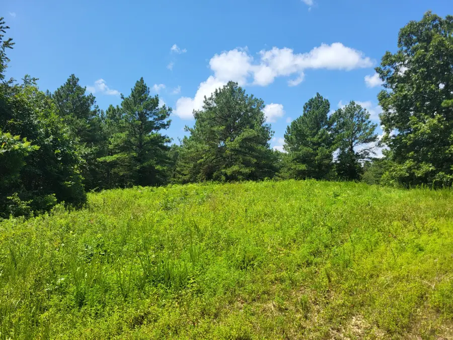 0 Strawberry Gables, Holladay, TN 38341 - #3