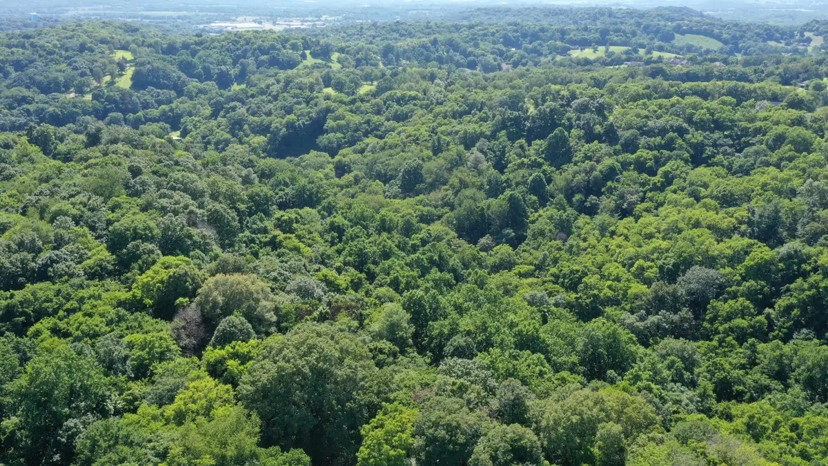 0 Strawberry Gables, Holladay, TN 38341 - #1