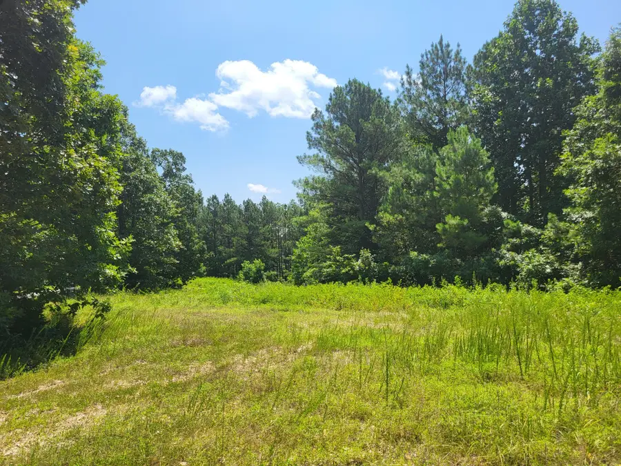 0 Strawberry Gables, Holladay, TN 38341 - #3