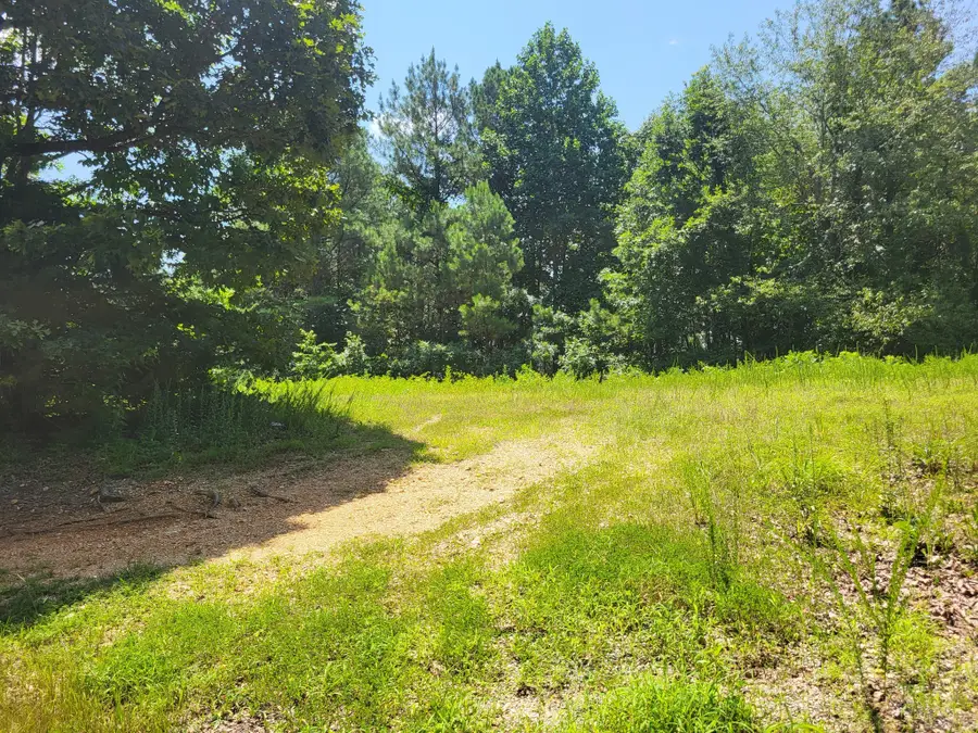 0 Strawbery Gables, Holladay, TN 38341 - #2