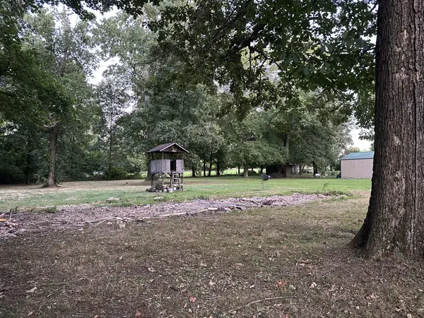 113 Morningside Dr, Portland, TN 37148