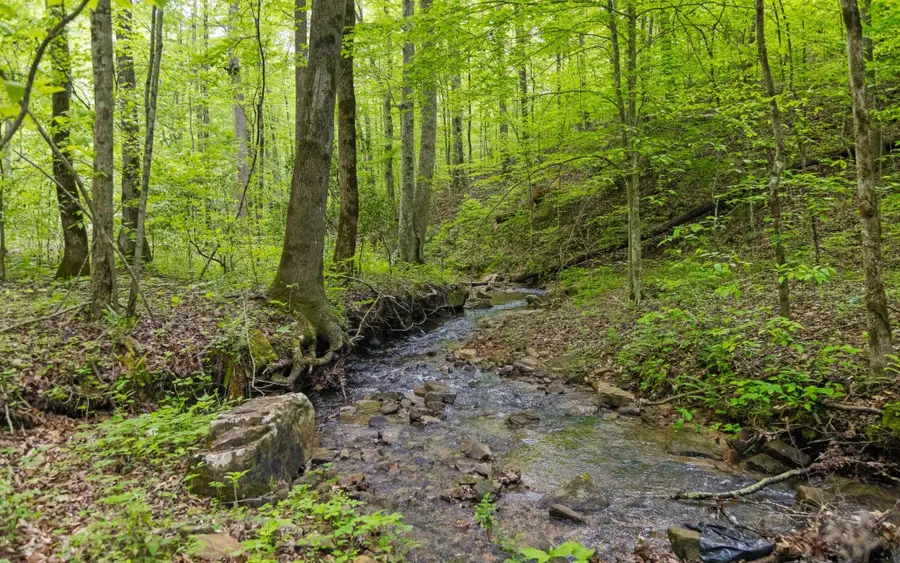 7335 S Pittsburg Mountain Road, South Pittsburg, TN 37380 - Image #3